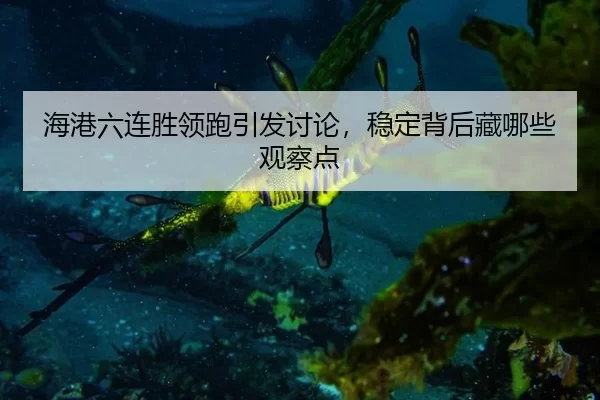 hai-gang-liu-lian-sheng-ling-pao-yin-fa-tao-lun-wen-ding-bei-hou-cang-na-xie-guan-cha-dian-2-978.jpg